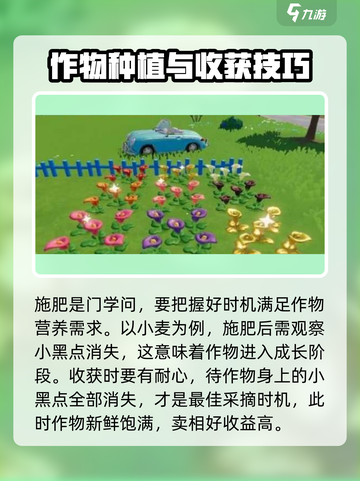 心动小镇快速种植技巧介绍截图3
