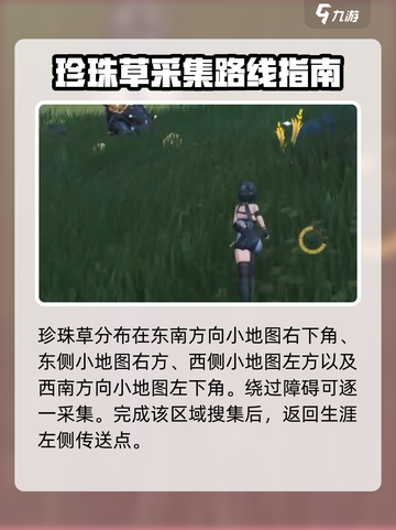 鸣潮⚡珍珠草速刷攻略💎玩家必看！截图5