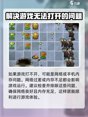 植物大战僵尸二战版打不开怎么办介绍截图4