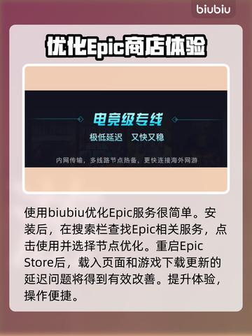 Epic进不去？加速器推荐来啦！🎮🚀截图4