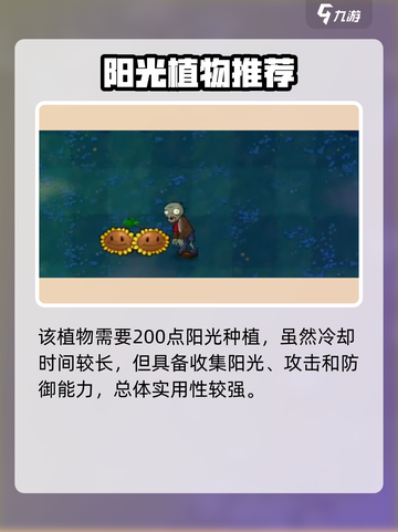 💥植物大战僵尸阳光炸弹爆炸效果🔥截图4