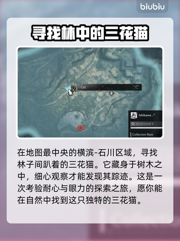 浪人崛起🐱：全猫咪位置收集攻略，速来！截图6