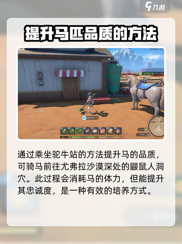 《沙石镇时光》：马匹品质升级大揭秘🔥截图4