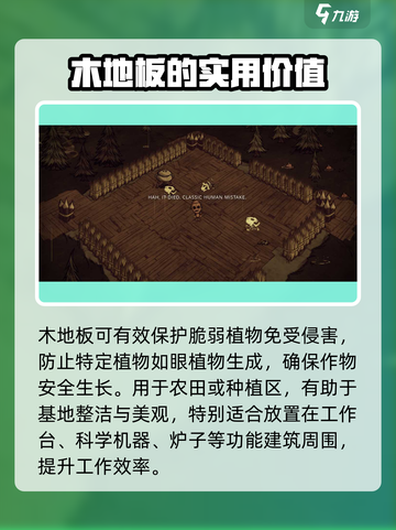 饥荒新家园木地板有什么用介绍截图2