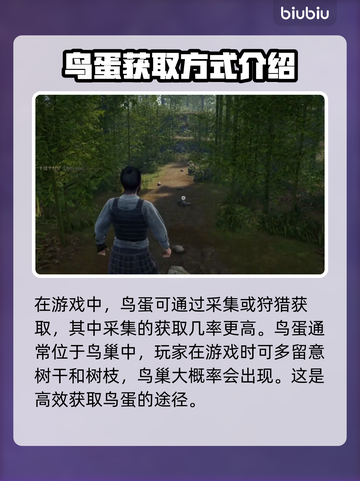 战国王朝🔥快速获取鸟蛋方式大揭秘！👇截图2