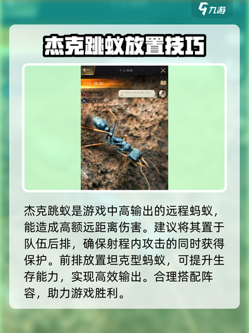 小小蚁国金蚂蚁组合推荐介绍截图3