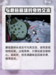 饥荒新家园青蛙王子怎么召唤介绍截图4
