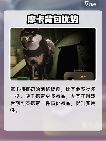 萤火突击宠物摩卡强度爆表💥实战解析来袭！截图3