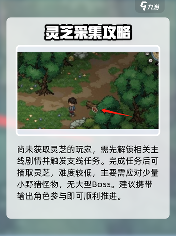 大侠立志传灵芝在哪介绍截图4