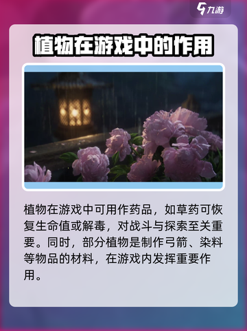燕云十六声植物的用途分享介绍截图2