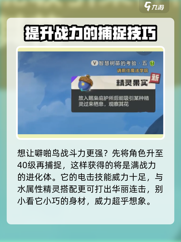 洛克王国世界噼啪鸟获取介绍截图4