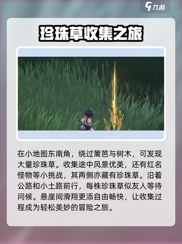 鸣潮珍珠草位置在哪里介绍截图4