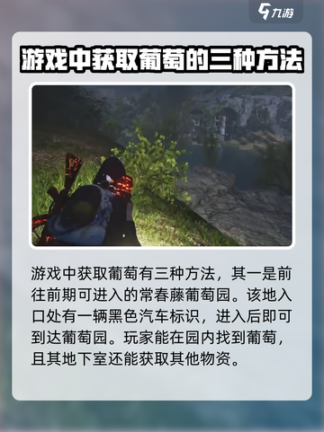 七日世界葡萄如何获取介绍截图2