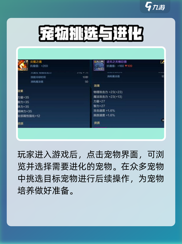 dnf手游宠物进化方法介绍截图2