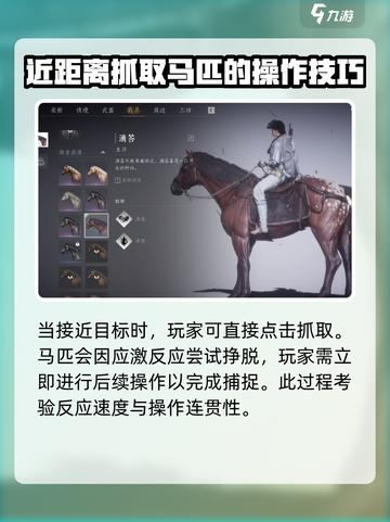 燕云十六声马在哪抓介绍截图3
