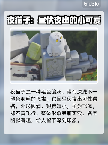 动物派对猫头鹰获取攻略OWL必得🔥截图2
