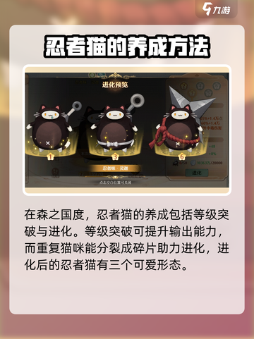 🔥《森之国度》忍者咪强度大起底！💡截图3