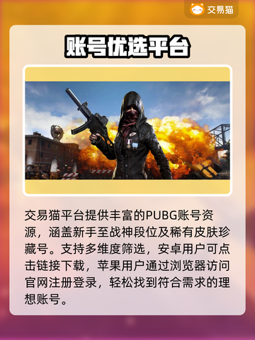 🔥PUBG账号交易神平台推荐！🎮截图2