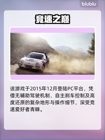 尘埃2闪退？一招解决！⚡🎮截图2