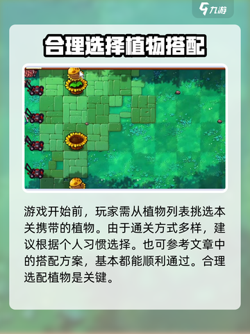 植物大战僵尸杂交版第39关🔥通关秘籍来了！⚡截图2