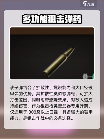 萤火突击⚡子弹选择全攻略🔥游戏党必看！截图5