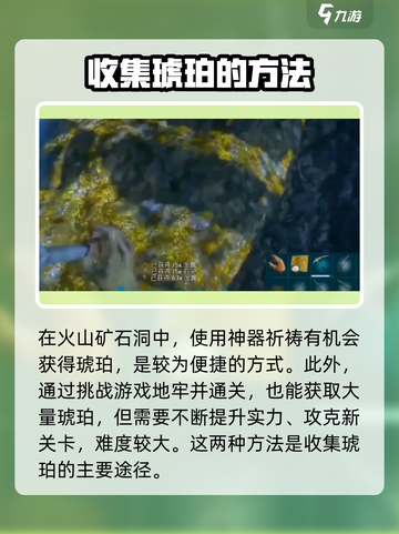 方舟生存进化手游🔥远古琥珀获取攻略💎截图3