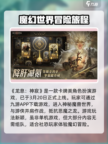 龙息神寂单机版链接在哪找介绍截图2