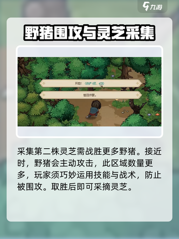 大侠立志传灵芝在哪介绍截图6