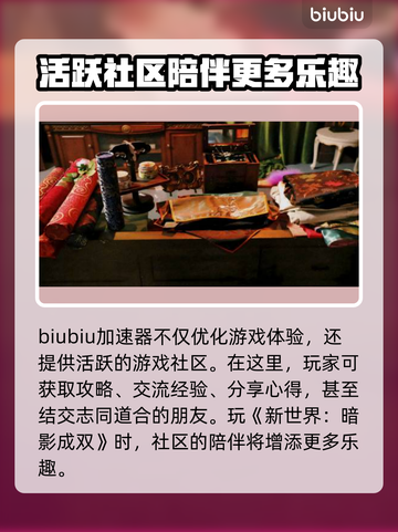 新世界暗影成双🔥加速器推荐📌游戏党必看！截图5