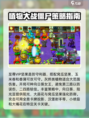 植物大战僵尸：金盏花王关卡通关秘籍🔥💡截图3