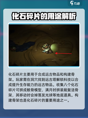 饥荒联机版🔥化石碎片大揭秘！💎截图2