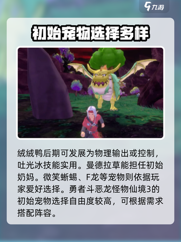 勇者斗恶龙怪物仙境3初始宠物推荐介绍截图4