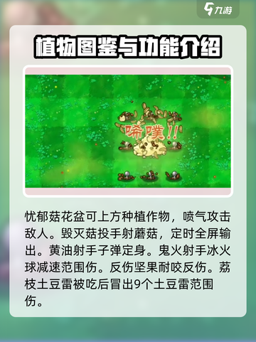 植物大战僵尸抽卡版全图鉴分享介绍截图6