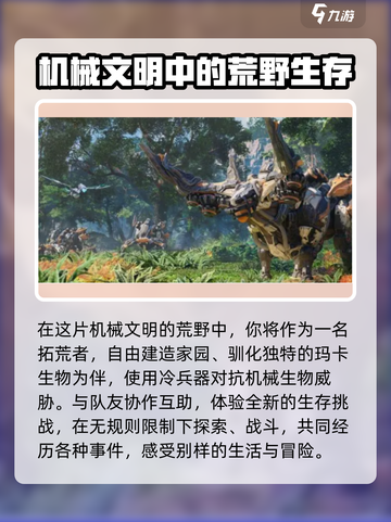 荒野起源是哪家公司的介绍截图4