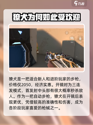 无畏契约手游🔥必玩神枪推荐，新手必备！截图2