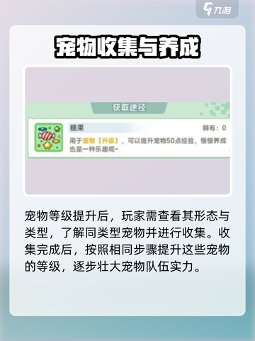 冒险岛联盟的意志宠物合成在哪介绍截图4