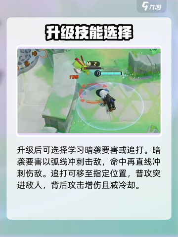 宝可梦大集结灾兽是谁介绍截图3
