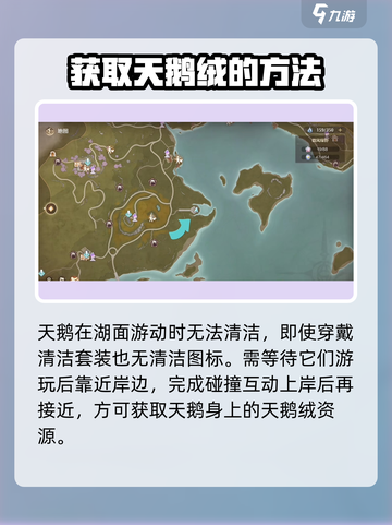 无限暖暖玫色天鹅绒怎么获取介绍截图3