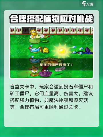 植物大战僵尸杂交版植物盲盒有哪些介绍截图3