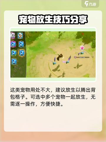 万龙觉醒🔥宠物放生技巧大曝光！💡截图4