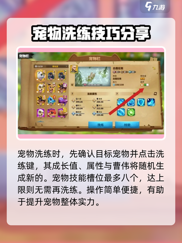 万龙觉醒宠物洗练攻略介绍截图5