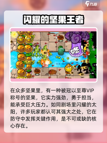 植物大战僵尸：至尊VIP坚果💥，防御力MAX！🔥截图3