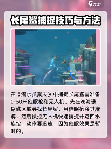潜水员戴夫鲨鱼怎么抓介绍截图2
