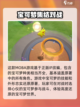 宝可梦大集结国服内测🔥开启！🎉截图3