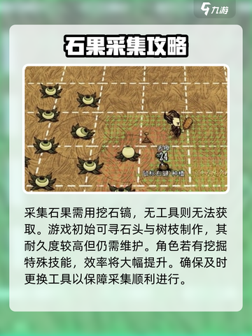 饥荒联机版石果采摘消失怎么办介绍截图3