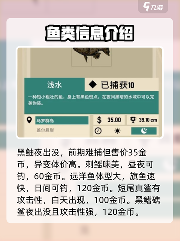 渔帆暗涌各海域鱼类分布特点说明介绍截图4