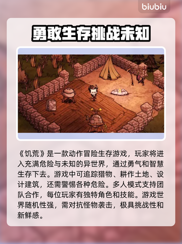 饥荒联机版卡顿？❌这招让你丝滑游戏🔥截图2