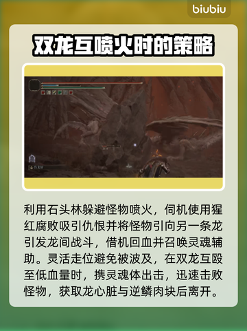 艾尔登法环🔥尖刺山飞龙打法技巧分享！截图5