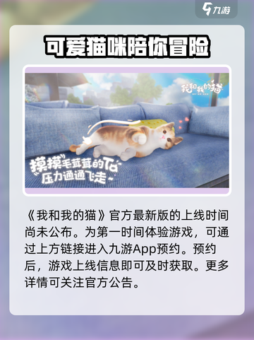 我和我的猫什么时候上线介绍截图2