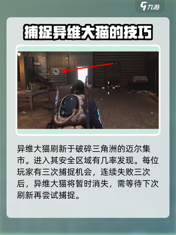 七日世界⚡异维大猫收容技巧🔥玩家必看！截图2